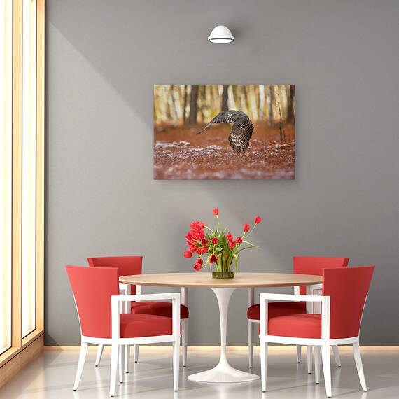 Tablou Canvas - Bufnita Gri, Marime: 80 x 120 cm - 4- Roveli