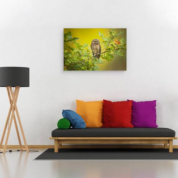 Tablou Canvas - Bufnita, Marime: 80 x 120 cm - 2- Roveli