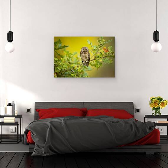 Tablou Canvas - Bufnita, Marime: 80 x 120 cm - 3- Roveli