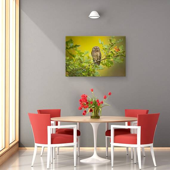 Tablou Canvas - Bufnita, Marime: 80 x 120 cm - 4- Roveli