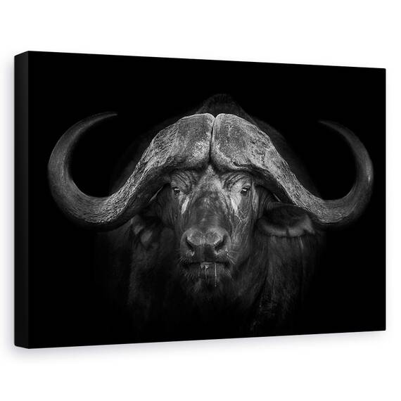 Tablou Canvas - Coarne Mari, Marime: 80 x 120 cm - - Roveli