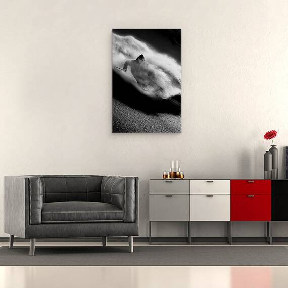 Tablou Canvas - Echitatie, Marime: 40 x 60 cm - 2- Roveli