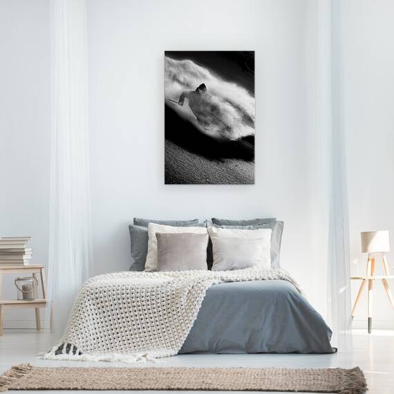 Tablou Canvas - Echitatie, Marime: 40 x 60 cm - 3- Roveli