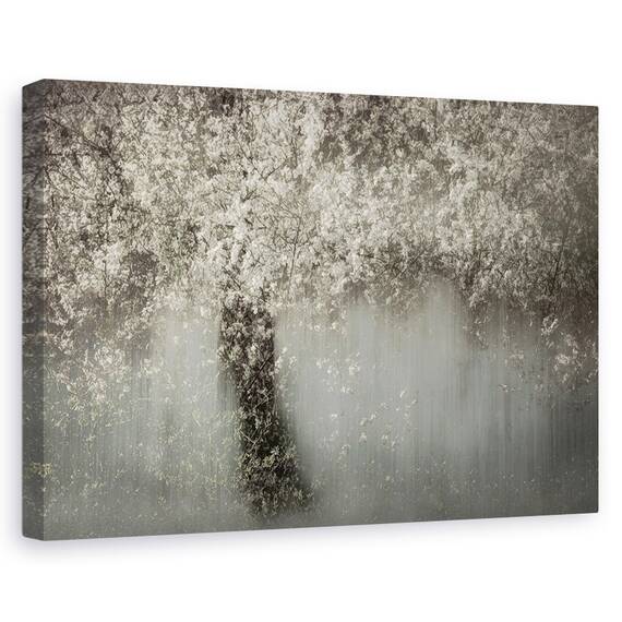 Tablou Canvas - Floare Alba, Marime: 80 x 120 cm - - Roveli