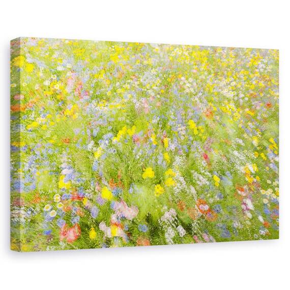 Tablou Canvas - Flori De Camp De Vara, Marime: 80 x 120 cm - - Roveli