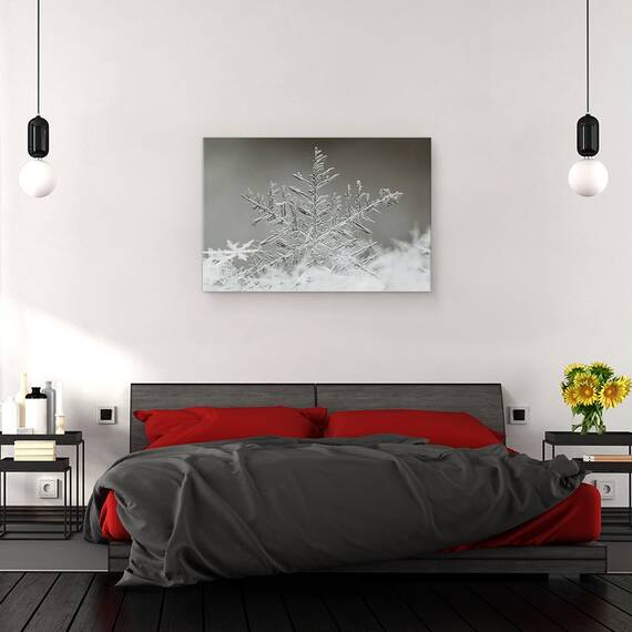 Tablou Canvas - Fulg De Nea, Marime: 80 x 120 cm - 3- Roveli
