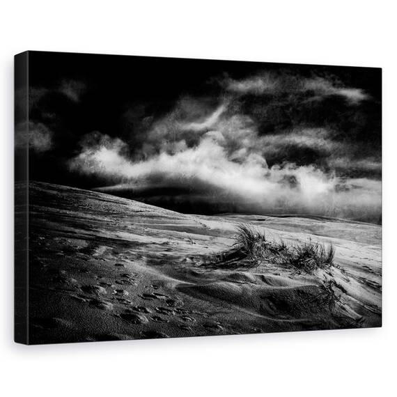 Tablou Canvas - Iarba Marram, Marime: 80 x 120 cm - - Roveli