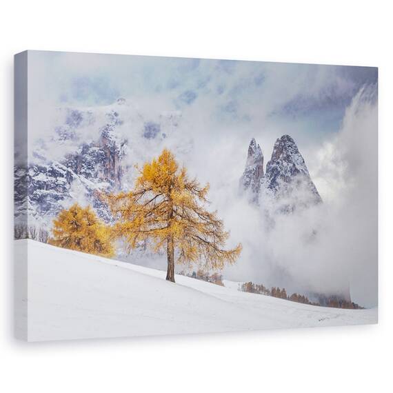 Tablou Canvas - Intre Anotimpuri, Marime: 80 x 120 cm - - Roveli