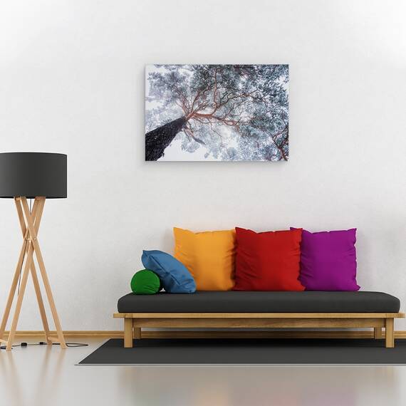 Tablou Canvas - Liniile Copacilor In Iarna, Marime: 80 x 120 cm - 2- Roveli