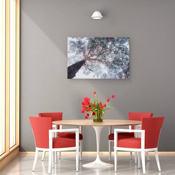 Tablou Canvas - Liniile Copacilor In Iarna, Marime: 80 x 120 cm - 4- Roveli