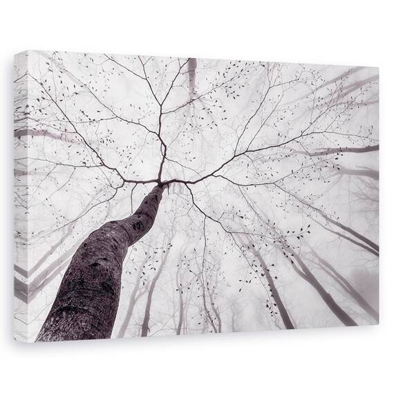 Tablou Canvas - O Vedere A Coroanei Copacului, Marime: 80 x 120 cm - - Roveli