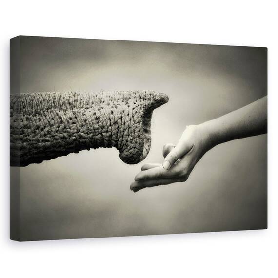 Tablou Canvas - Ofera Si Primeste, Marime: 80 x 120 cm - - Roveli