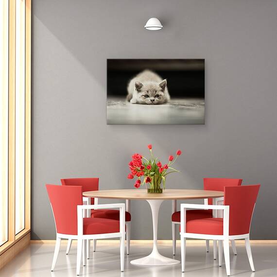 Tablou Canvas - Phillip, Marime: 80 x 120 cm - 4- Roveli