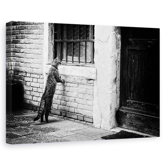 Tablou Canvas - Pisica, Marime: 80 x 120 cm - - Roveli