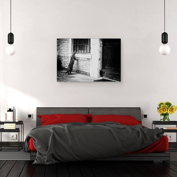 Tablou Canvas - Pisica, Marime: 80 x 120 cm - 3- Roveli