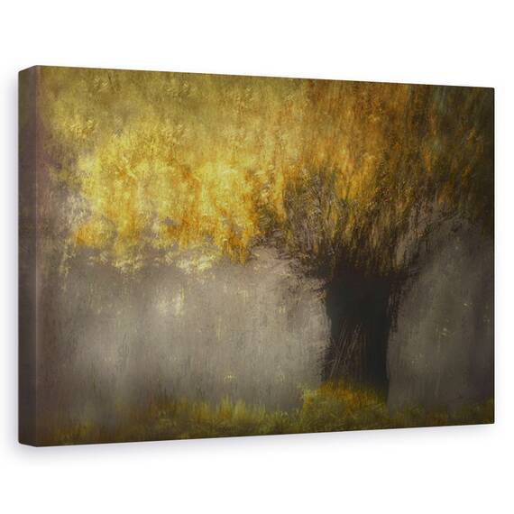 Tablou Canvas - Salcie Pollard, Marime: 80 x 120 cm - - Roveli