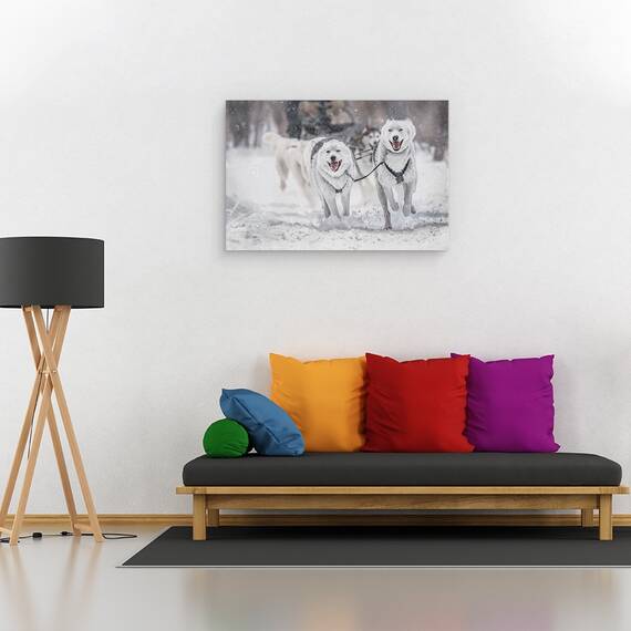Tablou Canvas - Sporturi De Iarna, Marime: 80 x 120 cm - 2- Roveli