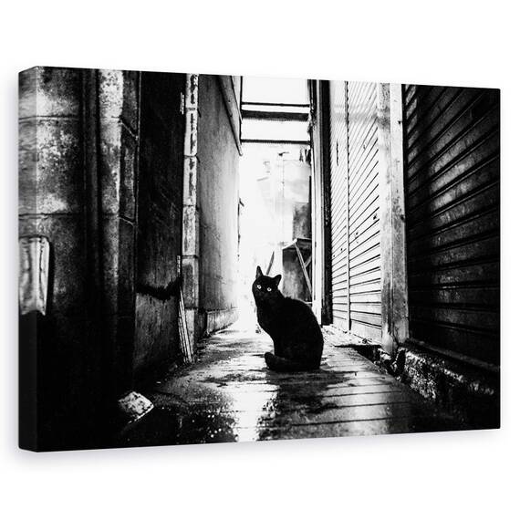 Tablou Canvas - Strada Nr. 10, Marime: 80 x 120 cm - - Roveli
