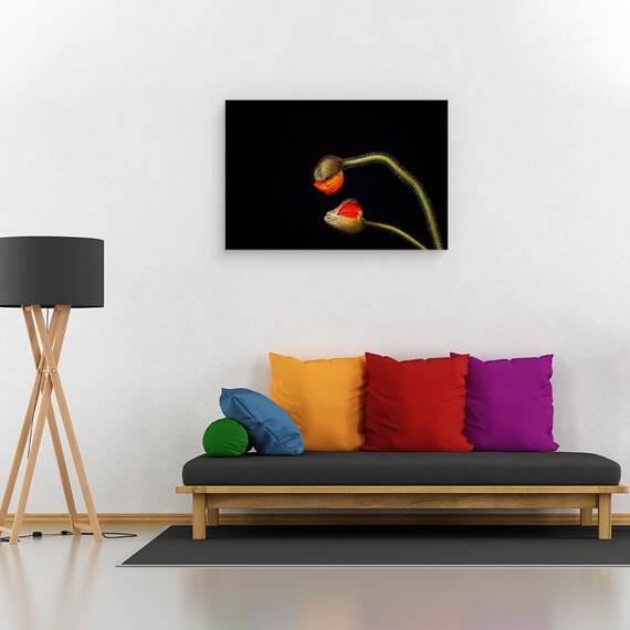 Tablou Canvas - Tango Argentinian, Marime: 40 x 60 cm - 2- Roveli