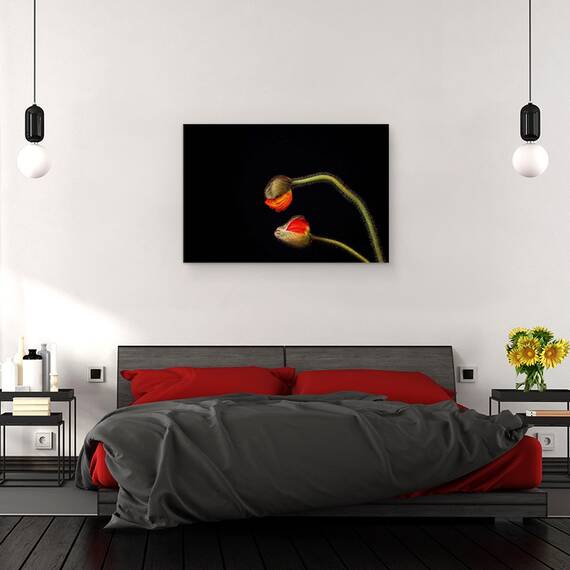 Tablou Canvas - Tango Argentinian, Marime: 40 x 60 cm - 3- Roveli