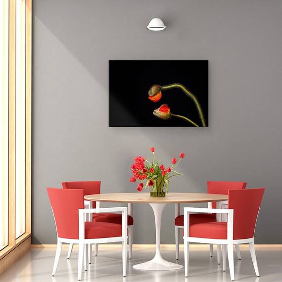 Tablou Canvas - Tango Argentinian, Marime: 40 x 60 cm - 4- Roveli