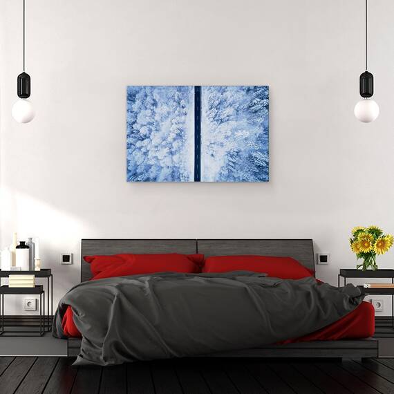 Tablou Canvas - Un Drum Inghetat, Marime: 80 x 120 cm - 3- Roveli