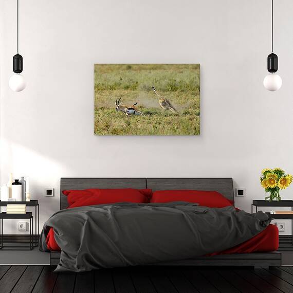 Tablou Canvas - Vanatoare, Marime: 80 x 120 cm - 3- Roveli