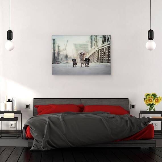 Tablou Canvas - 1,2,3 Du-Te, Marime: 80 x 120 cm - 3- Roveli