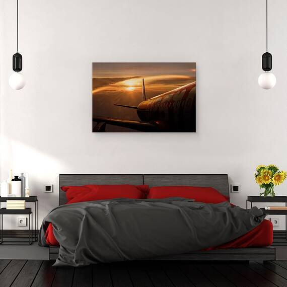 Tablou Canvas - Afara Din Zbor, Marime: 80 x 120 cm - 3- Roveli