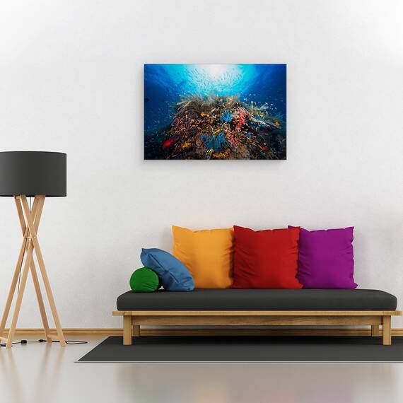 Tablou Canvas - Apnee, Marime: 80 x 120 cm - 4- Roveli
