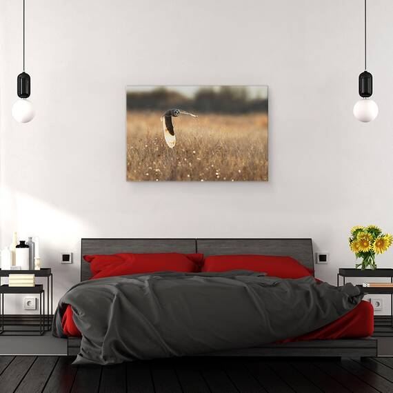 Tablou Canvas - Aripa Iluminata, Marime: 80 x 120 cm - 3- Roveli
