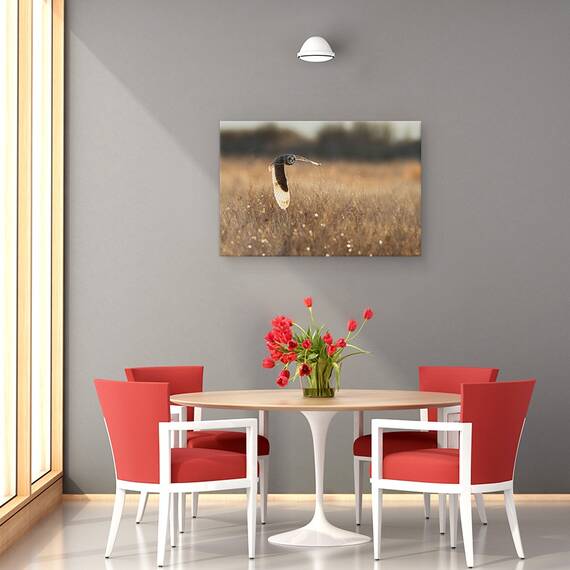 Tablou Canvas - Aripa Iluminata, Marime: 80 x 120 cm - 4- Roveli