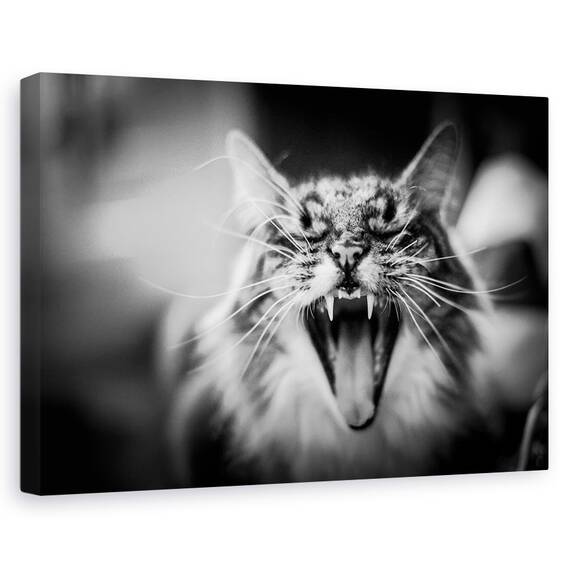 Tablou Canvas - Asculta Miorlaitul Meu, Marime: 80 x 120 cm - - Roveli