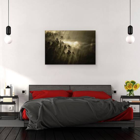 Tablou Canvas - Streiflichter, Marime: 80 x 120 cm - 3- Roveli