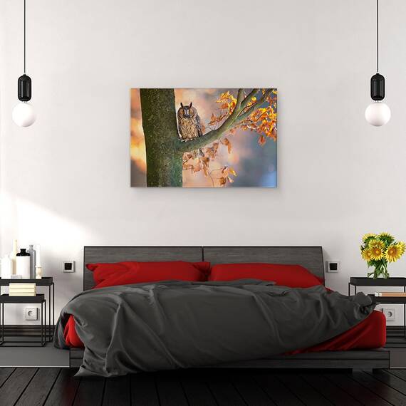 Tablou Canvas - Bufnita Cu Urechi Lungi, Marime: 80 x 120 cm - 3- Roveli