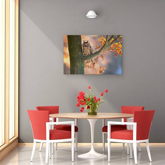 Tablou Canvas - Bufnita Cu Urechi Lungi, Marime: 80 x 120 cm - 4- Roveli