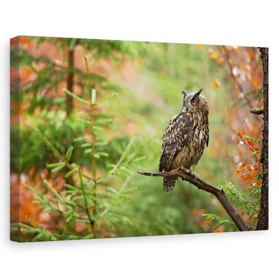 Tablou Canvas - Bufnita Euroasiatica, Marime: 80 x 120 cm - - Roveli