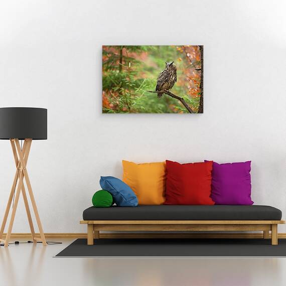 Tablou Canvas - Bufnita Euroasiatica, Marime: 80 x 120 cm - 3- Roveli