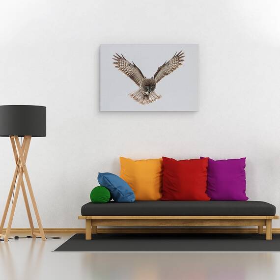 Tablou Canvas - Bufnita Gri, Marime: 80 x 120 cm - 2- Roveli
