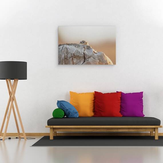 Tablou Canvas - Bufnita Mica, Marime: 80 x 120 cm - 2- Roveli