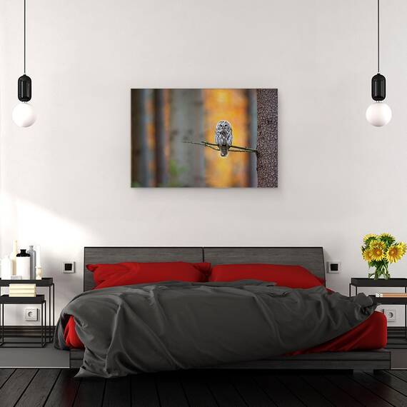 Tablou Canvas - Bufnita Tawny, Marime: 80 x 120 cm - 3- Roveli