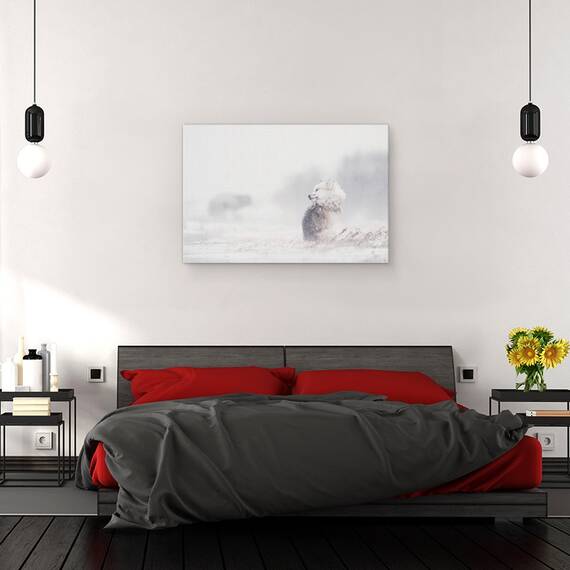 Tablou Canvas - Caini In Furtuna, Marime: 80 x 120 cm - 3- Roveli