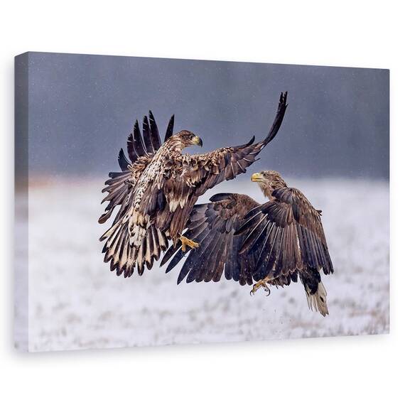 Tablou Canvas - Dansand In Zapada, Marime: 80 x 120 cm - - Roveli