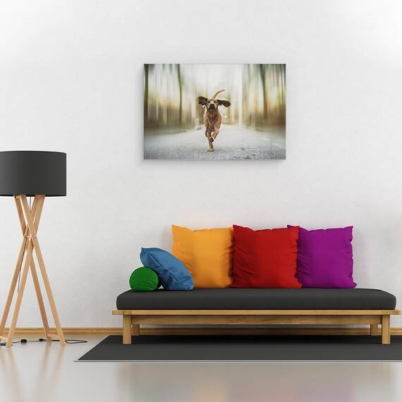 Tablou Canvas - Dansand Pe Strazi, Marime: 80 x 120 cm - 2- Roveli