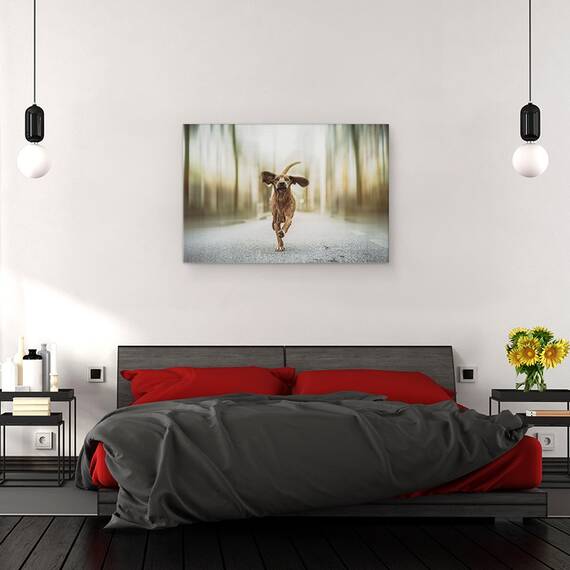 Tablou Canvas - Dansand Pe Strazi, Marime: 80 x 120 cm - 3- Roveli