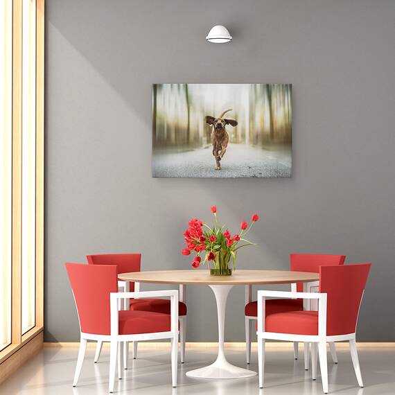 Tablou Canvas - Dansand Pe Strazi, Marime: 80 x 120 cm - 4- Roveli