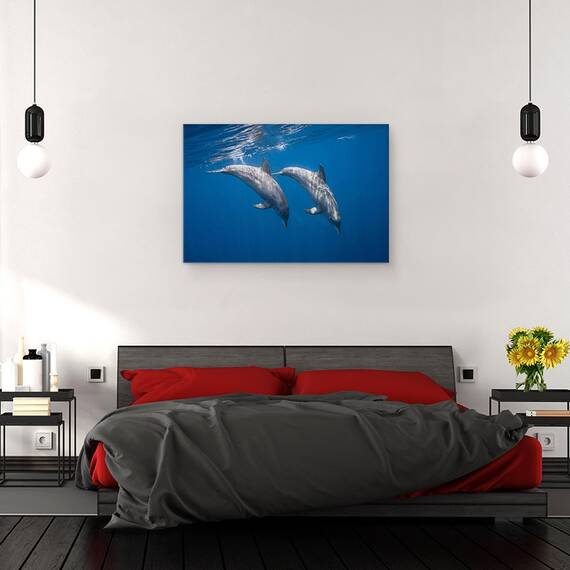 Tablou Canvas - Doi Delfini, Marime: 80 x 120 cm - 3- Roveli