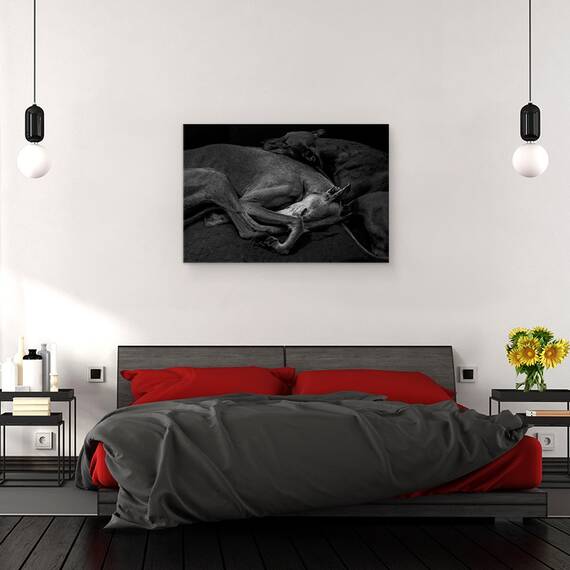 Tablou Canvas - Doua, Marime: 80 x 120 cm - 3- Roveli