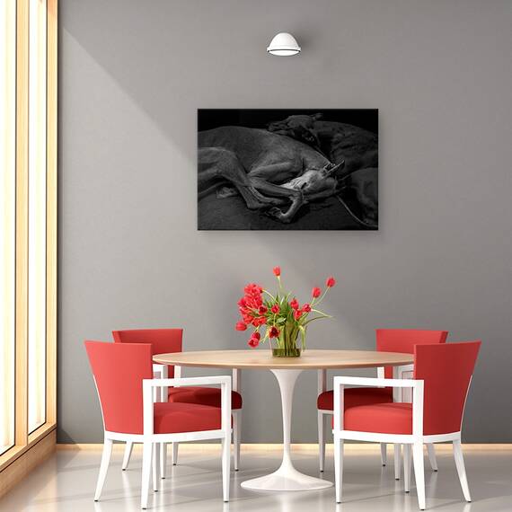 Tablou Canvas - Doua, Marime: 80 x 120 cm - 4- Roveli
