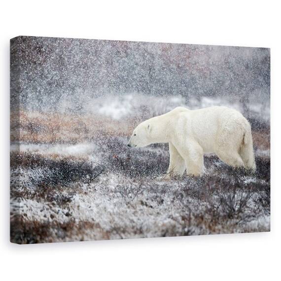 Tablou Canvas - E Vremea Ninsorii, Marime: 80 x 120 cm - - Roveli